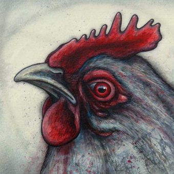 A rooster head painted study