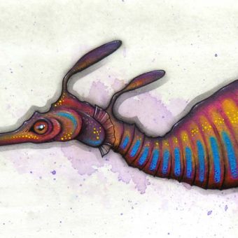 A weedy sea dragon study in bright pinks oranges and blues